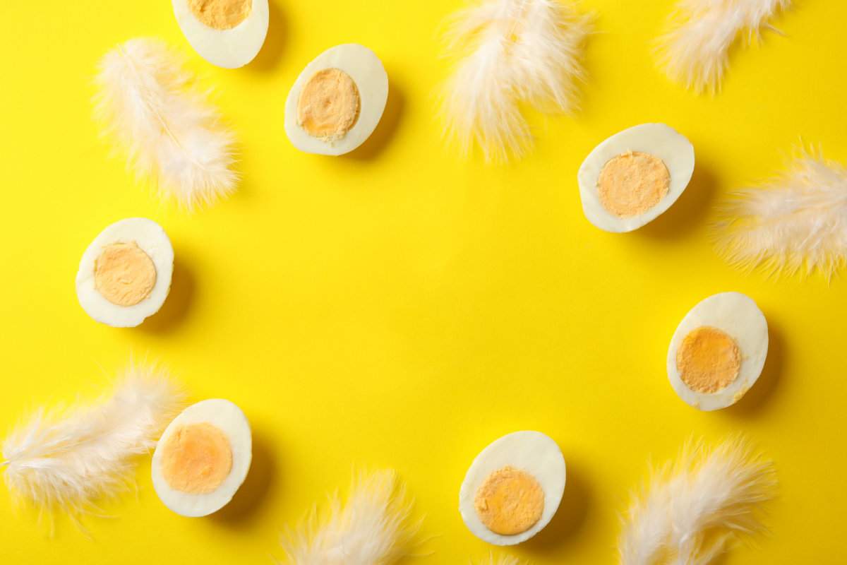 Are eggs good for burning belly fat?